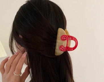 קליפס ללסת שיער בעיצוב צרפתי